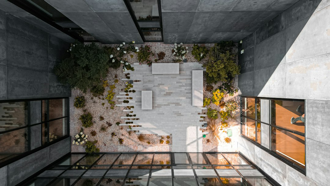 COSMO Lisi Courtyard Mood Modern landscaped residential courtyard