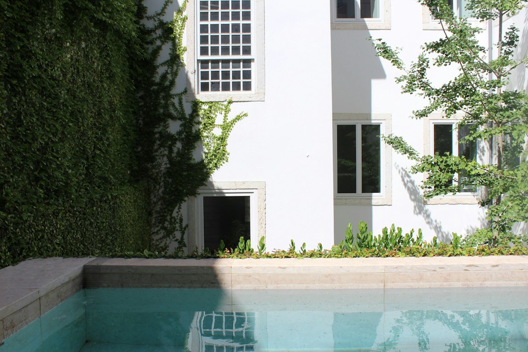 COSMO Lisi Pool Mood Modern residential pool courtyard